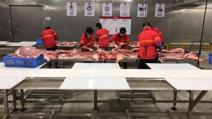 肉品事业部生产部 | 大改造 树标杆